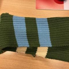 Šál Groen met blauw, ako bolo nahlásené Feyenoord Rotterdam pomocou iLost