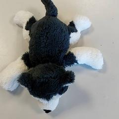 Milutki miś, zgłoszono przez Centraal magazijn przy użyciu iLost