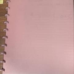 Taccuino Pink, come riportato da Vrije Universiteit Brussel (VUB) utilizzando iLost