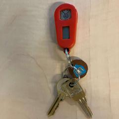 المفاتيح (متنوعة)، كما تم الإبلاغ عنه بواسطة Gemeente Stichtse Vecht عبر iLost