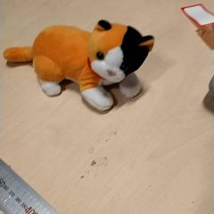 Knuffel, as reported by IKEA Zwolle using iLost