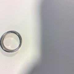 Anel, segundo informou Gemeente Veenendaal usando iLost