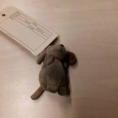 Sleutel, zoals gemeld door RET met iLost