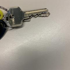 Klíč, jak nahlášeno Gemeente Wijk bij Duurstede pomocí iLost