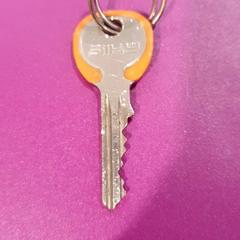 Sleutel, zoals gemeld door Gemeente Oost Gelre met iLost