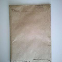 Pochette, a été signalé par Twisto utilisant iLost