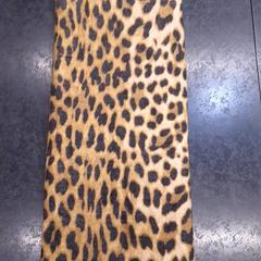 Sjaal, zoals gemeld door Rotterdam The Hague Airport met iLost