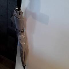 Guarda-chuva Grijs, como reportado por EBS Tramplein utilizando o iLost