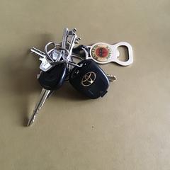 Sleutelbos, jak zgłoszono do iLost