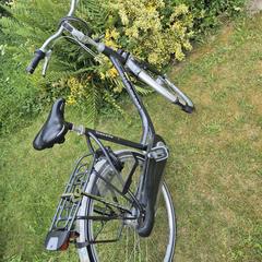 Gazelle damesfiets, ha sido reportado a iLost