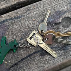 Sleutelbos, iLost에 보고됨