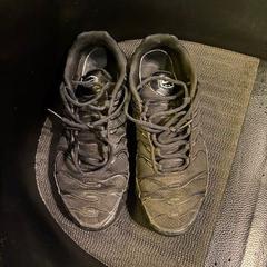 Sabata, segons ha informat Room Mate Bruno mitjançant iLost