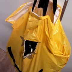 Bag, som rapportert av Qbuzz ZHN ved bruk av iLost