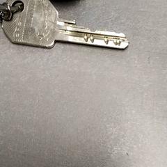 Key Zilvers, as reported by Arriva Friesland / Groningen using iLost