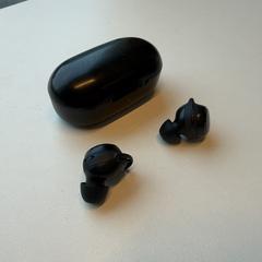 Rolfstone oordopjes, ako bolo nahlásené iLost