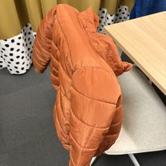 Jacket barn, Orange storlek 120, as reported by IKEA Karlstad using iLost