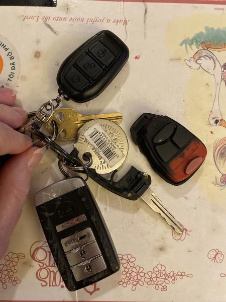 Keys (3 electronic fobs, house key & other items)