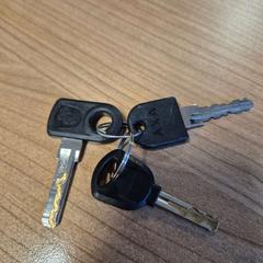 Nøkler, som rapportert av Connexxion Zeeland ved bruk av iLost