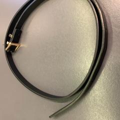 Pasek Black with gold buckle, zgłoszono przez Eindhoven Airport przy użyciu iLost