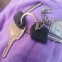 Sleutelbos, jak bylo nahlášeno na iLost