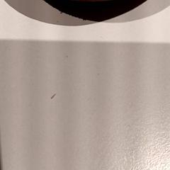 Scarpa, come riportato da De Efteling utilizzando iLost