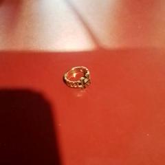 Jewelry, as reported by Apenheul using iLost