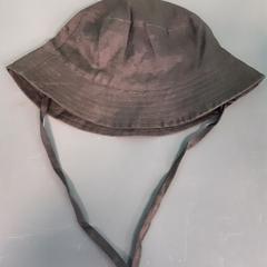 Hoedje, a été signalé par Diergaarde Blijdorp utilisant iLost