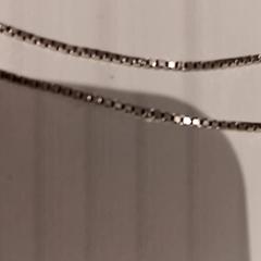 Collaret, segons ha informat De Efteling mitjançant iLost