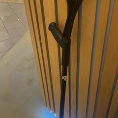 Walking stick Zwart, as reported by UMC Utrecht using iLost