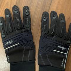 Rukavice handschoenen, ako bolo nahlásené Pathé Zaandam pomocou iLost