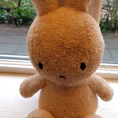 Knuffel Nijntje, zoals gemeld door DierenPark Amersfoort met iLost