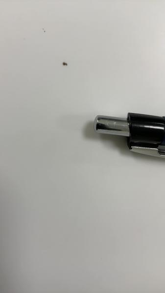 Pen