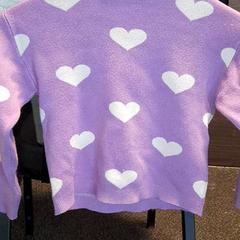 セーター がiLostで Van der Valk Hotel Tiel によって報告されました