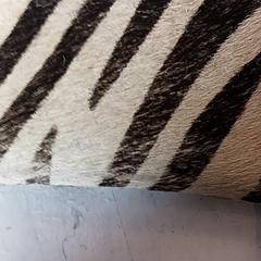 Kortholder, som rapportert av RRReis IJssel-Vecht ved bruk av iLost