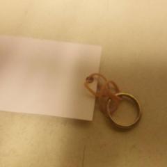 مجوهرات (متنوعة) Ring، كما تم الإبلاغ عنه بواسطة Regio Limburg - Leuven عبر iLost