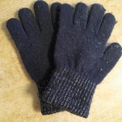 Handschoenen, as reported by Dolfinarium using iLost