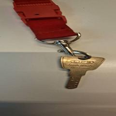 Llave, ha sido reportado por Gemeente Hilversum con iLost