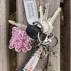 Sleutelbos, amint azt az iLostnak jelentették.