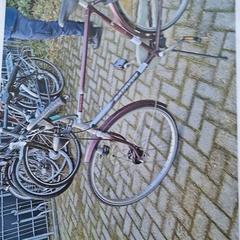 Herrenfahrrad, gemeldet von Gemeente Roermond über iLost