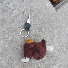 Sleutelbos met mammoethanger, amint azt az iLostnak jelentették.