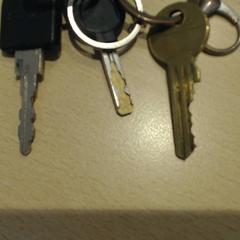 Kulcsok, amint azt Walibi Holland az iLost segítségével jelentette.