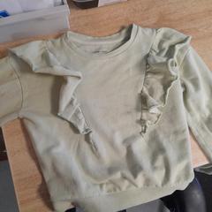 Trui, gemeldet von Dolfinarium über iLost