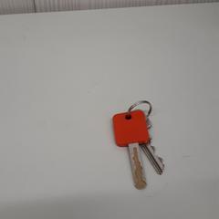 Sleutels, gemeldet von Transdev Gooi en Vechtstreek über iLost