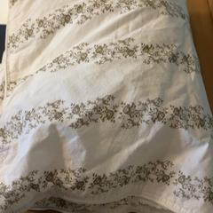 Kussen junior, as reported by Familie Resort Molenwaard using iLost