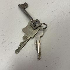 İLost kullanarak GVB tarafından bildirildiği gibi Anahtarlık