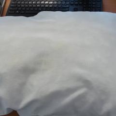 Coussin pillow, a été signalé par Carlton Beach Hotel utilisant iLost