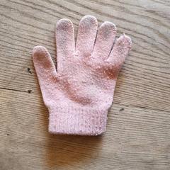 Rukavice Roze, jak nahlášeno DierenPark Amersfoort pomocí iLost