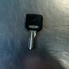 Key, as reported by Burgers' Zoo using iLost