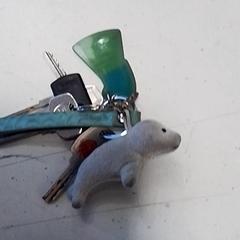 Klíčenka, jak nahlášeno Hermes Eindhoven pomocí iLost