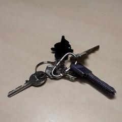 Kulcsok, amint azt Arriva Oost-Brabant az iLost segítségével jelentette.